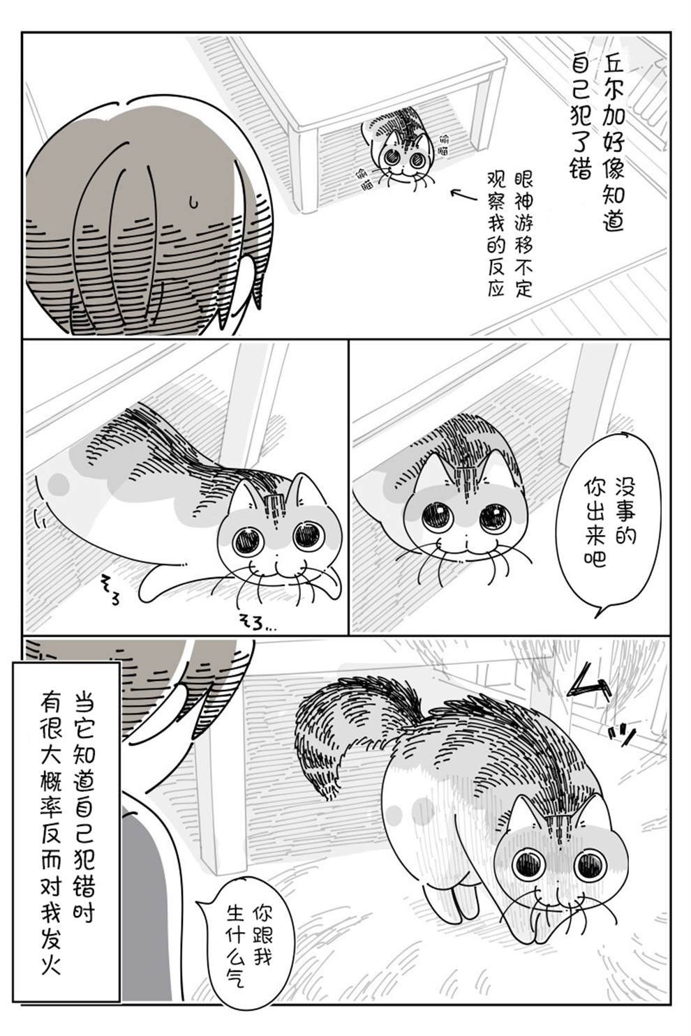 《关于养猫我一直是新手》漫画最新章节第143话免费下拉式在线观看章节第【3】张图片