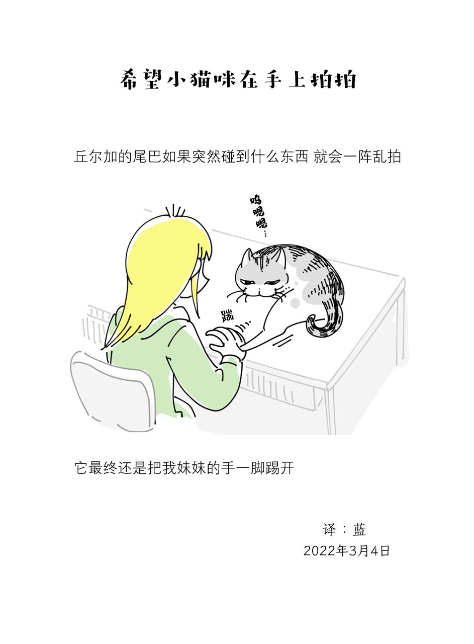 《关于养猫我一直是新手》漫画最新章节第106话免费下拉式在线观看章节第【3】张图片