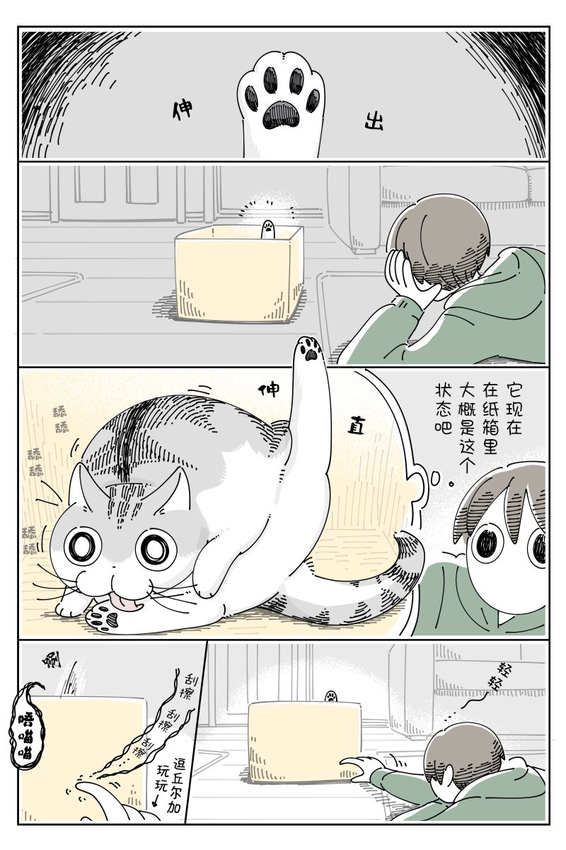 《关于养猫我一直是新手》漫画最新章节第100话免费下拉式在线观看章节第【1】张图片