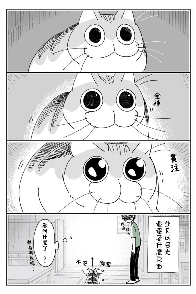 《关于养猫我一直是新手》漫画最新章节第26话免费下拉式在线观看章节第【2】张图片