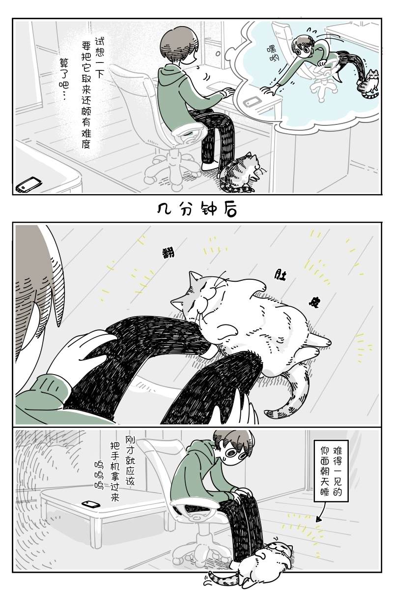 《关于养猫我一直是新手》漫画最新章节第116话免费下拉式在线观看章节第【3】张图片