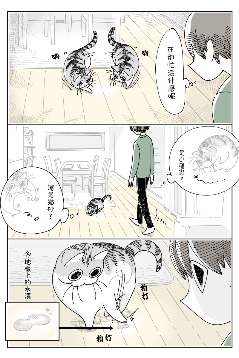 《关于养猫我一直是新手》漫画最新章节第68话免费下拉式在线观看章节第【2】张图片