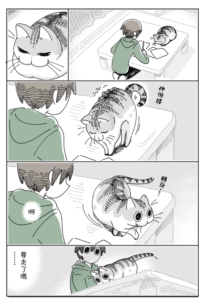《关于养猫我一直是新手》漫画最新章节第59话免费下拉式在线观看章节第【1】张图片