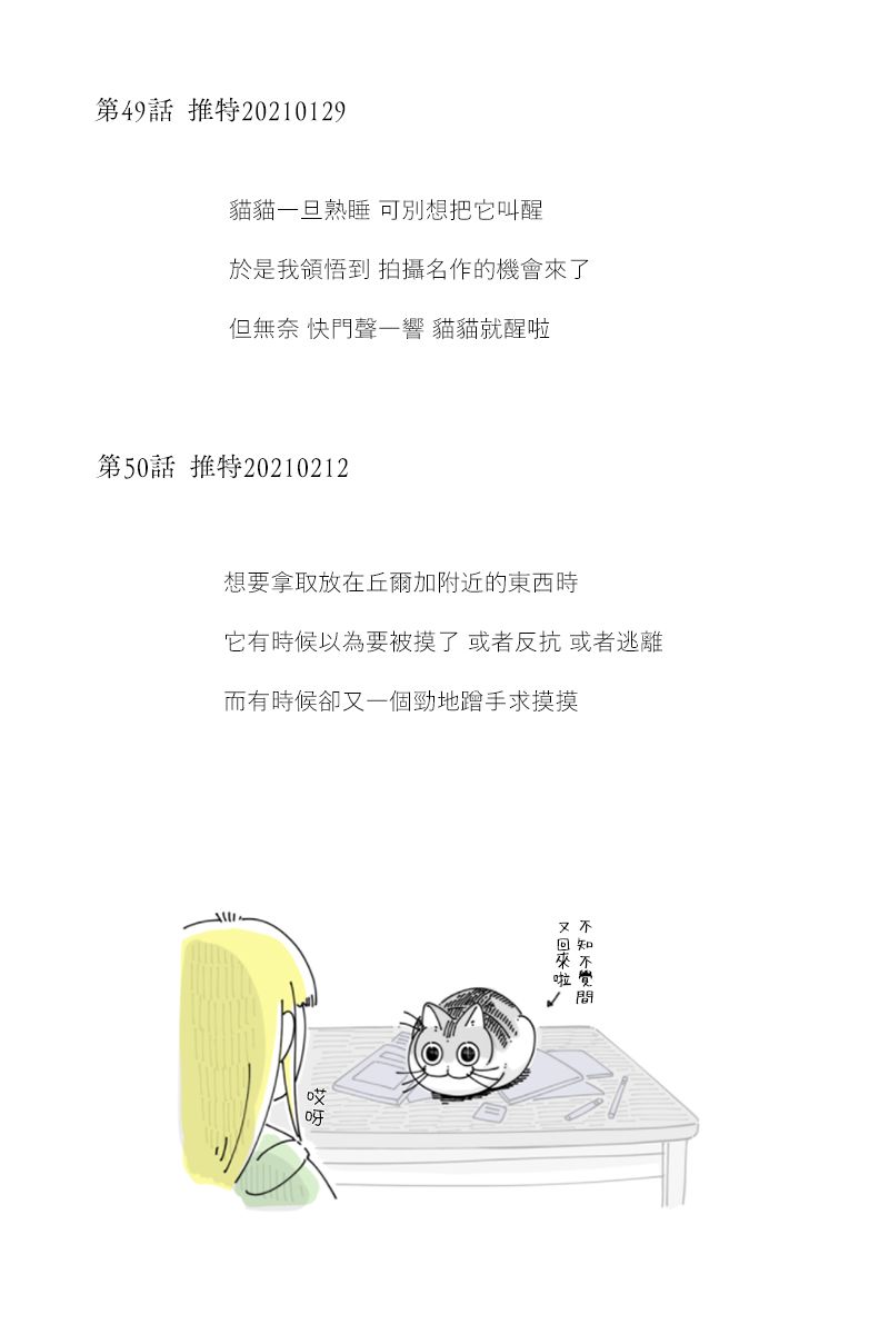 《关于养猫我一直是新手》漫画最新章节42-53后记免费下拉式在线观看章节第【4】张图片