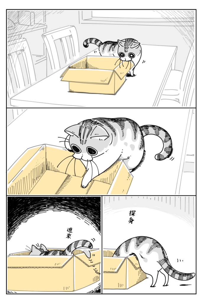 《关于养猫我一直是新手》漫画最新章节第17话免费下拉式在线观看章节第【1】张图片