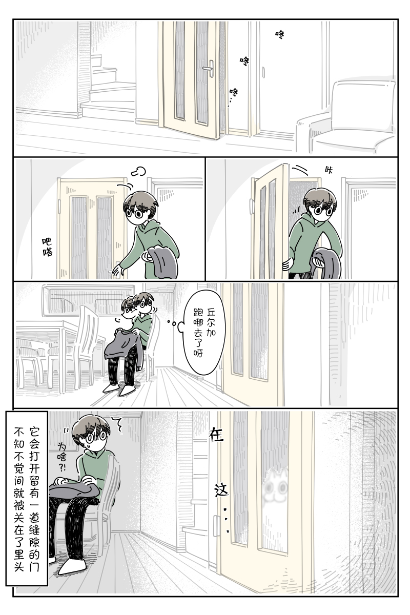 《关于养猫我一直是新手》漫画最新章节第88话免费下拉式在线观看章节第【3】张图片