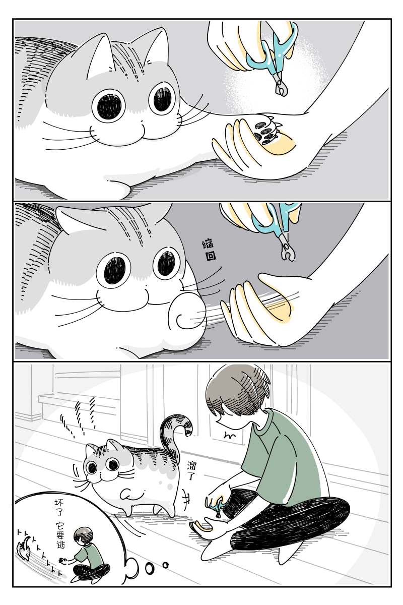 《关于养猫我一直是新手》漫画最新章节第79话免费下拉式在线观看章节第【2】张图片