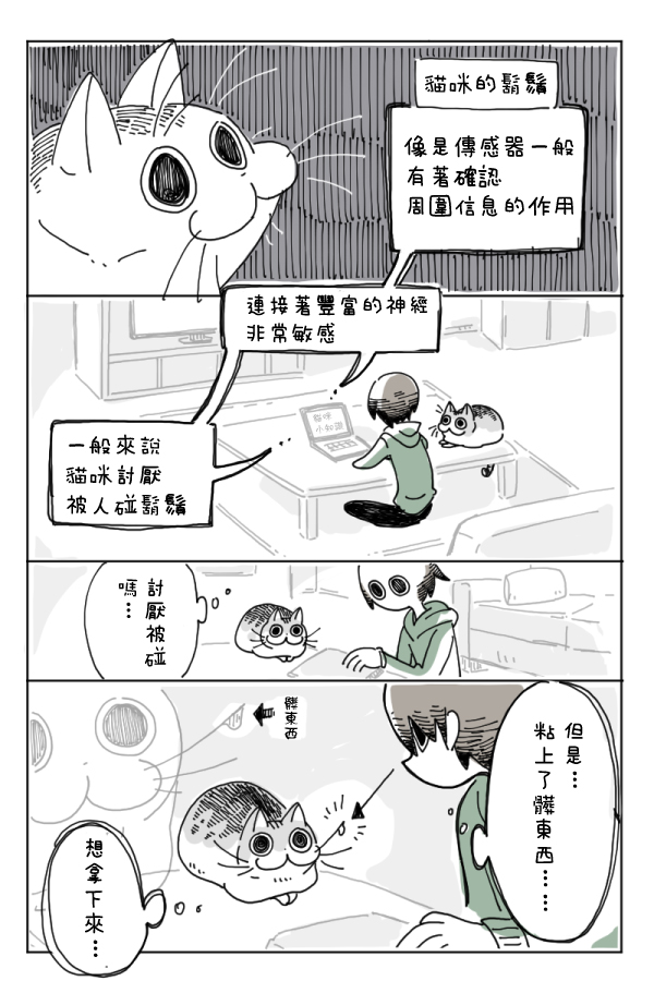 《关于养猫我一直是新手》漫画最新章节第4话免费下拉式在线观看章节第【7】张图片