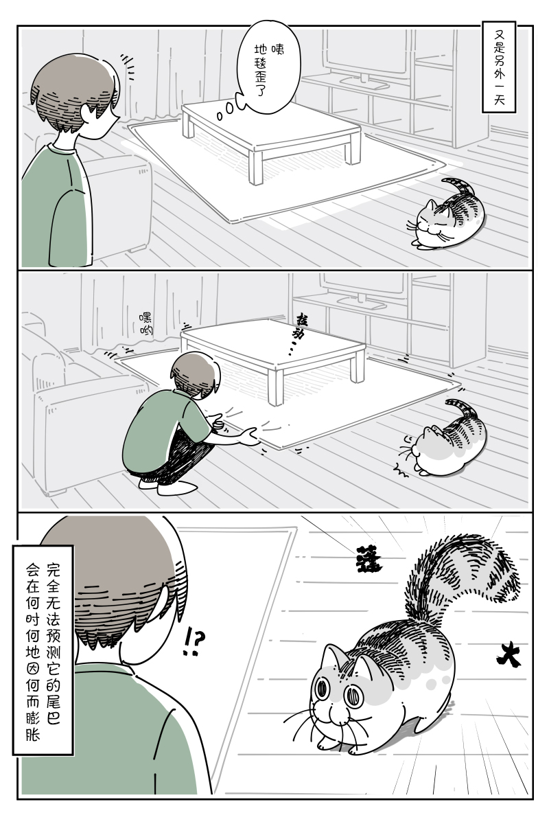 《关于养猫我一直是新手》漫画最新章节第78话免费下拉式在线观看章节第【3】张图片