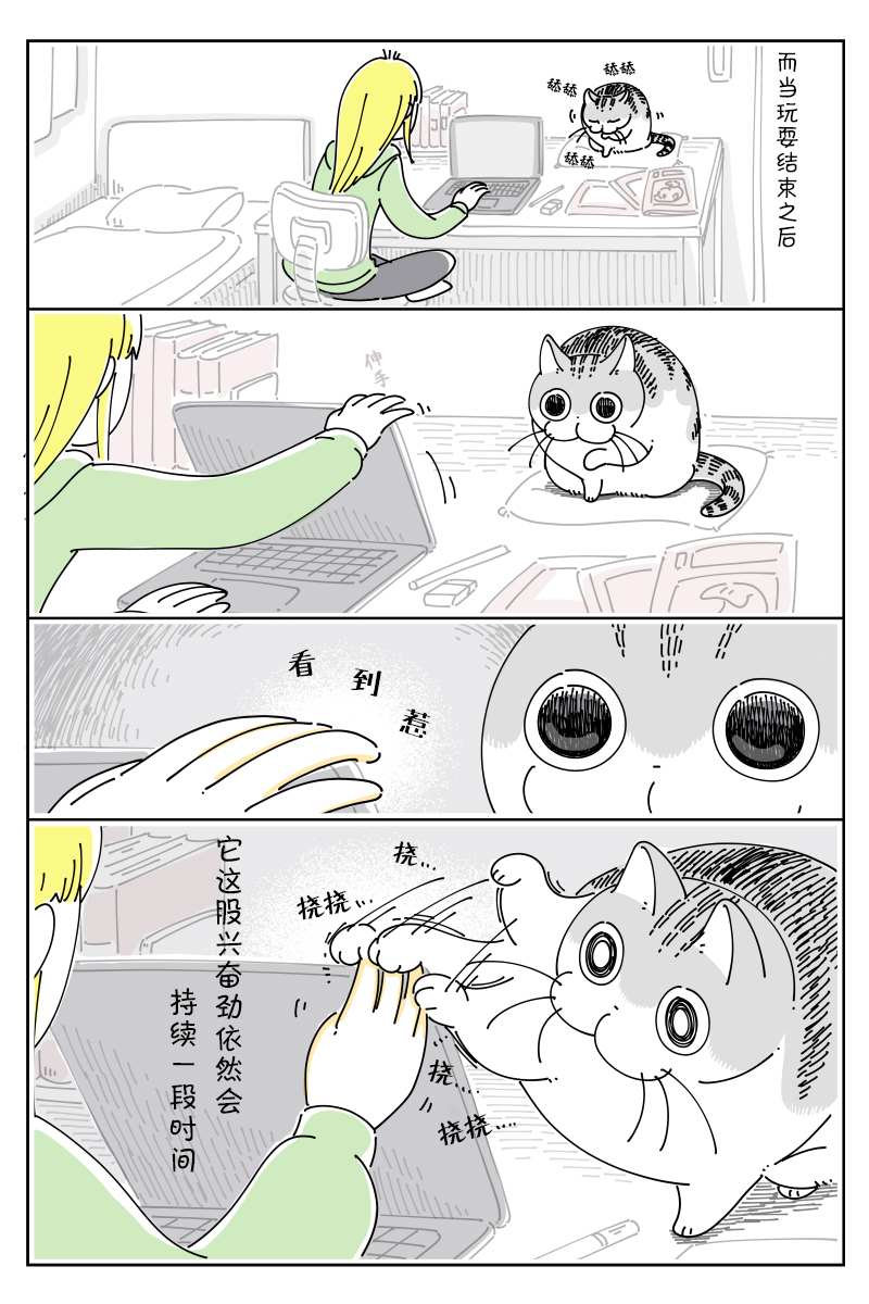 《关于养猫我一直是新手》漫画最新章节第91话免费下拉式在线观看章节第【3】张图片