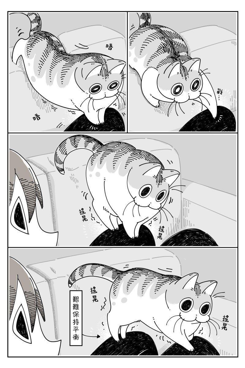 《关于养猫我一直是新手》漫画最新章节第44话免费下拉式在线观看章节第【2】张图片