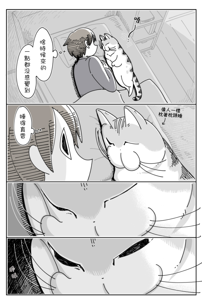 《关于养猫我一直是新手》漫画最新章节第37话免费下拉式在线观看章节第【2】张图片