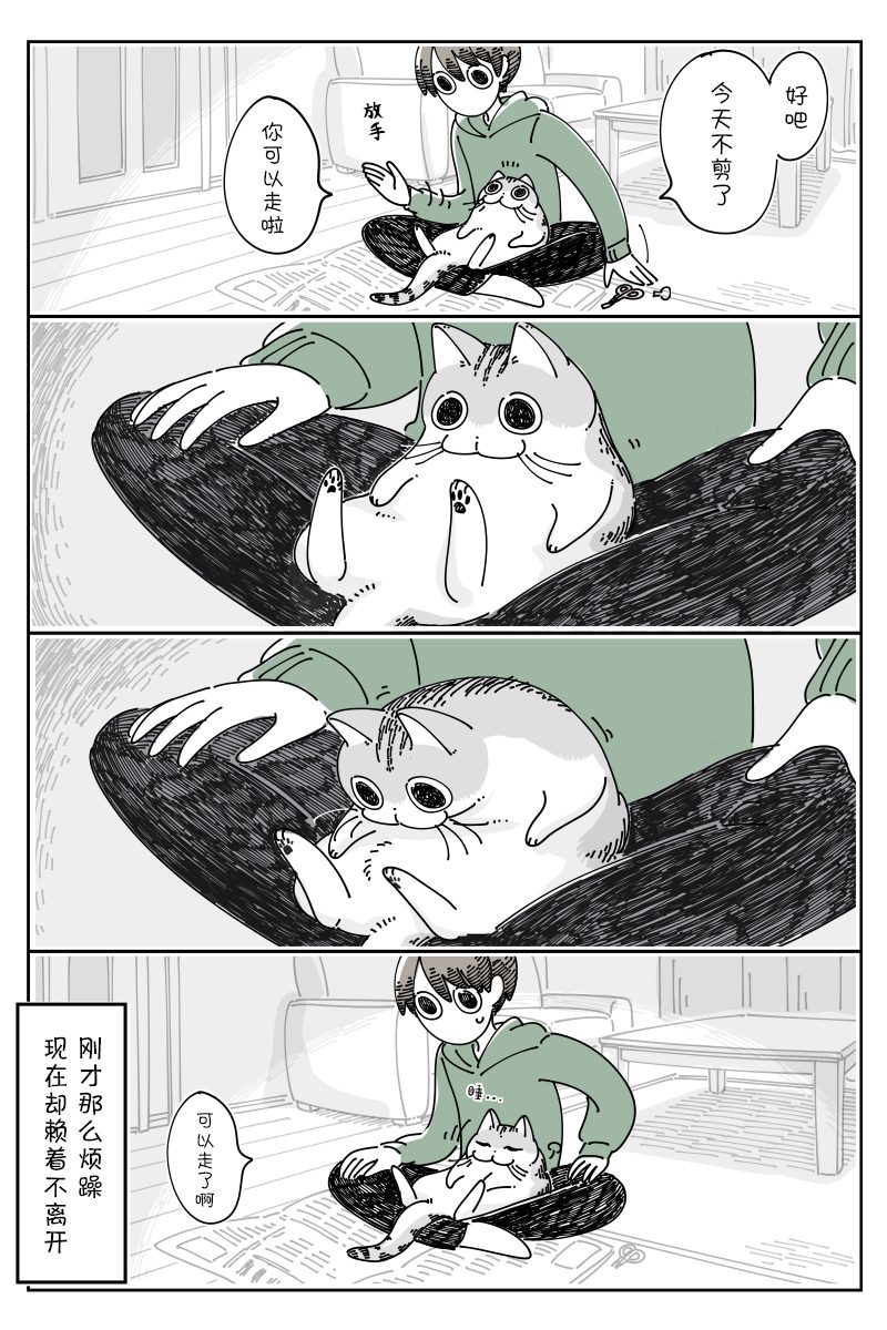《关于养猫我一直是新手》漫画最新章节第112话免费下拉式在线观看章节第【3】张图片