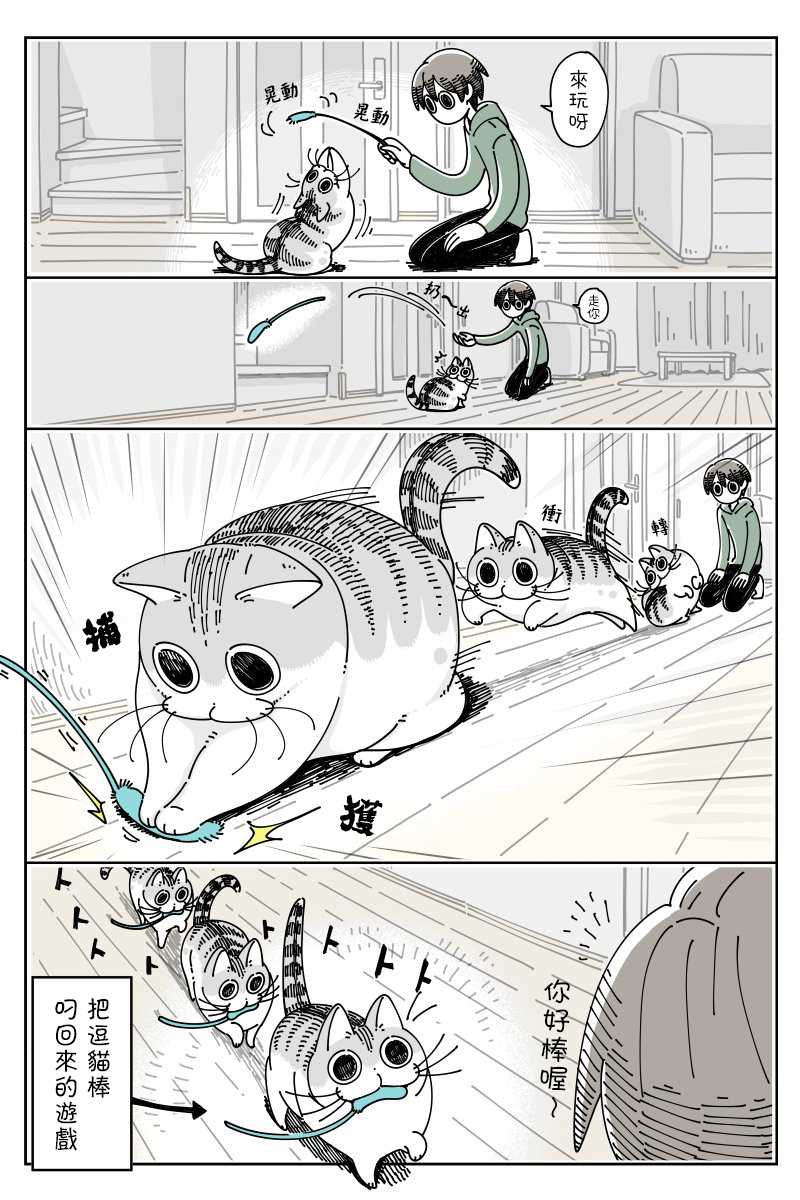 《关于养猫我一直是新手》漫画最新章节第42话免费下拉式在线观看章节第【1】张图片