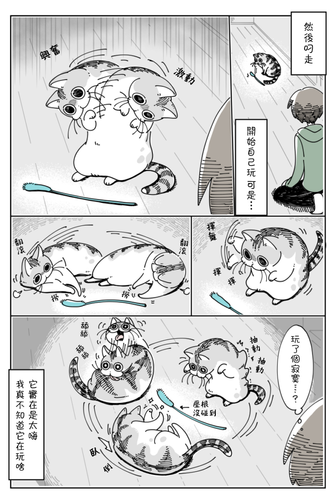 《关于养猫我一直是新手》漫画最新章节第40话免费下拉式在线观看章节第【3】张图片