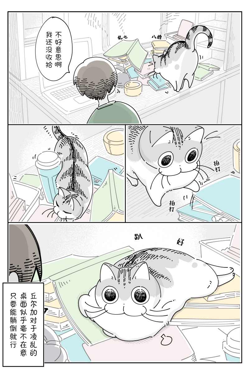 《关于养猫我一直是新手》漫画最新章节第82话免费下拉式在线观看章节第【2】张图片