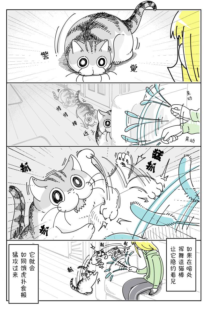 《关于养猫我一直是新手》漫画最新章节第91话免费下拉式在线观看章节第【2】张图片