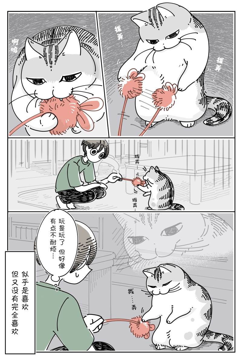 《关于养猫我一直是新手》漫画最新章节第124话免费下拉式在线观看章节第【3】张图片