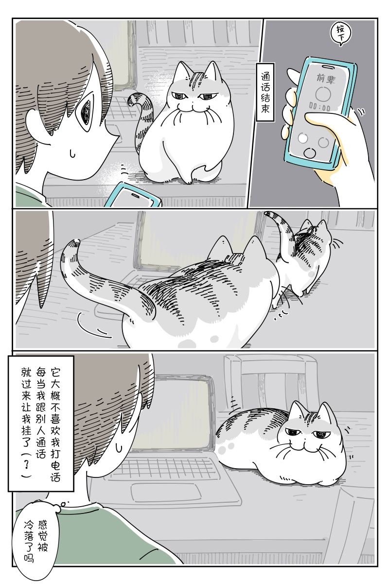 《关于养猫我一直是新手》漫画最新章节第121话免费下拉式在线观看章节第【3】张图片