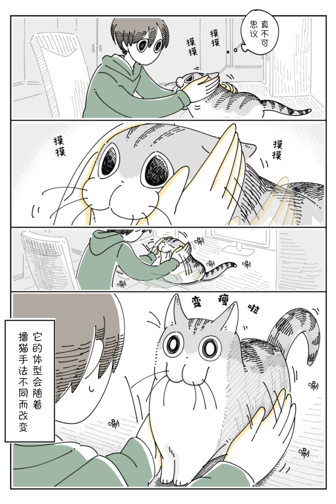 《关于养猫我一直是新手》漫画最新章节第97话免费下拉式在线观看章节第【3】张图片