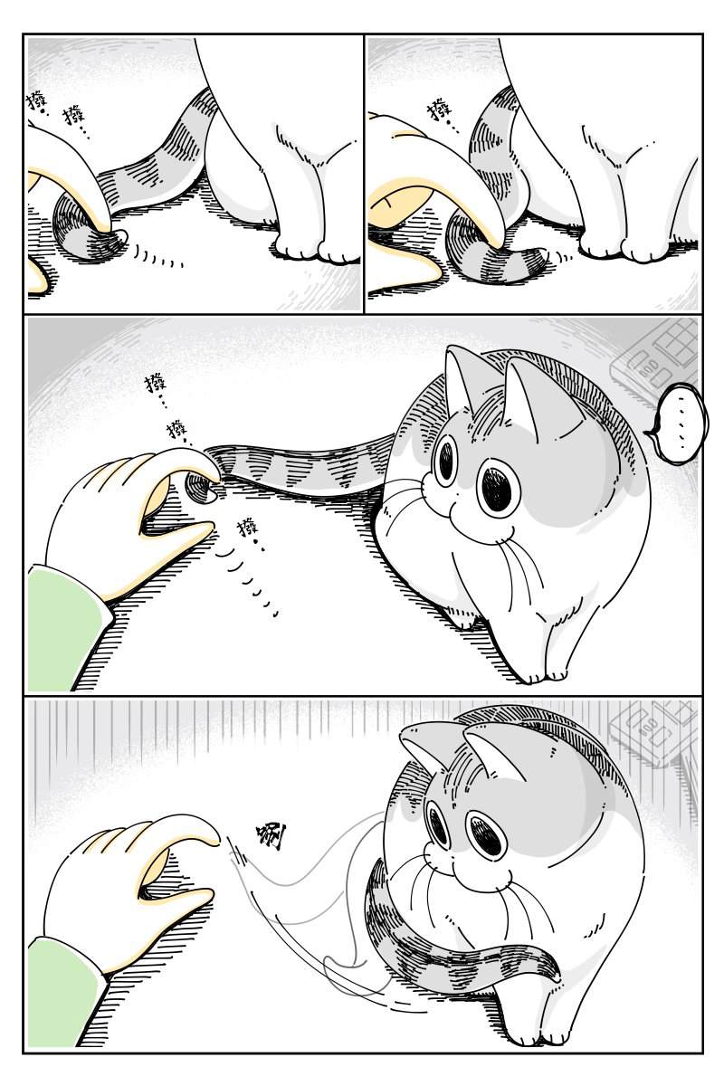 《关于养猫我一直是新手》漫画最新章节第47话免费下拉式在线观看章节第【2】张图片