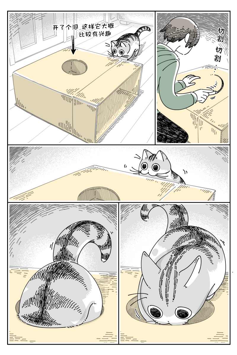 《关于养猫我一直是新手》漫画最新章节第137话免费下拉式在线观看章节第【2】张图片