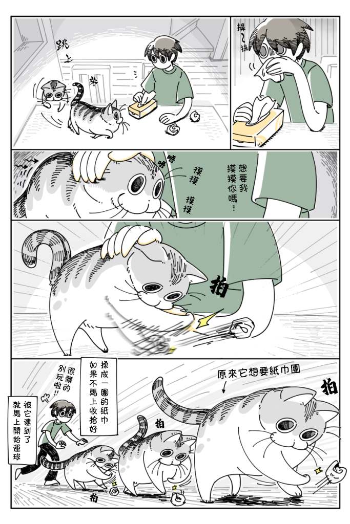 《关于养猫我一直是新手》漫画最新章节第29话免费下拉式在线观看章节第【1】张图片