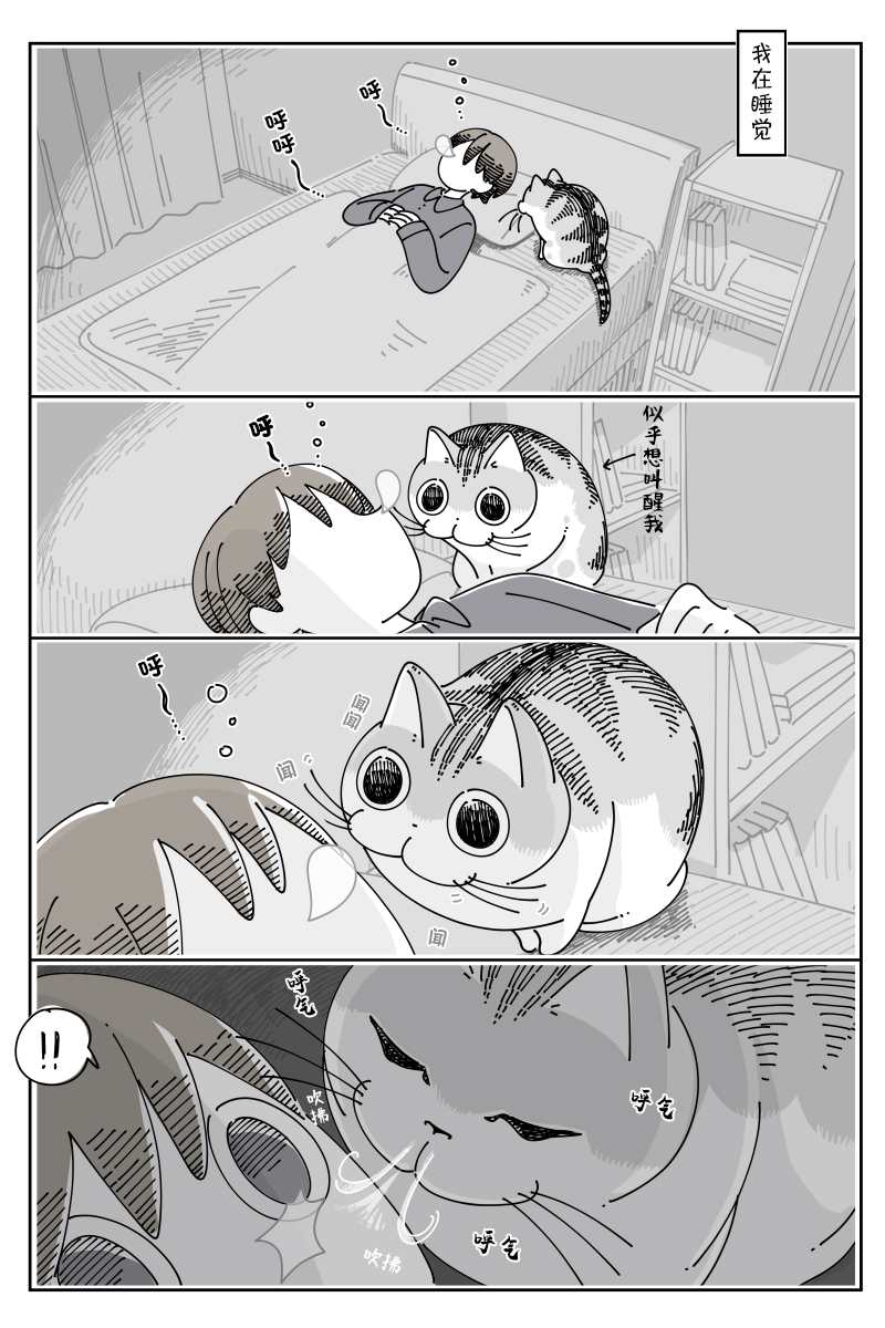 《关于养猫我一直是新手》漫画最新章节第110话免费下拉式在线观看章节第【1】张图片