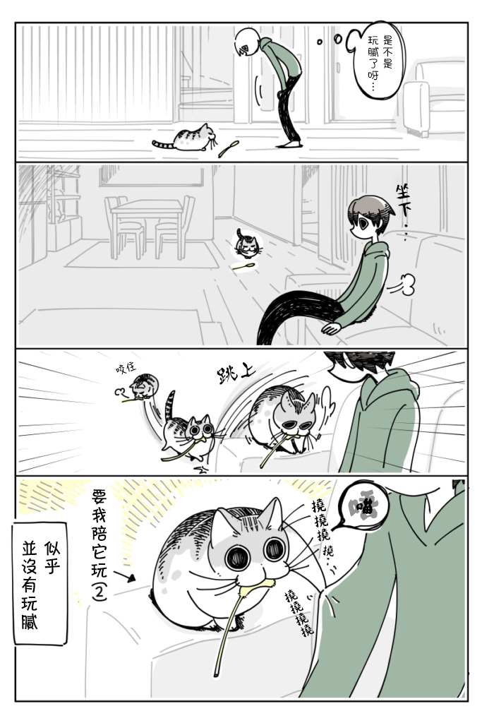 《关于养猫我一直是新手》漫画最新章节第13话免费下拉式在线观看章节第【4】张图片