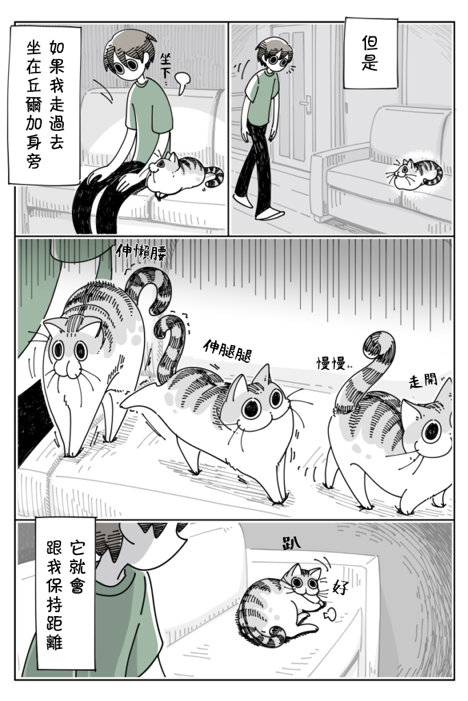 《关于养猫我一直是新手》漫画最新章节第25话免费下拉式在线观看章节第【3】张图片