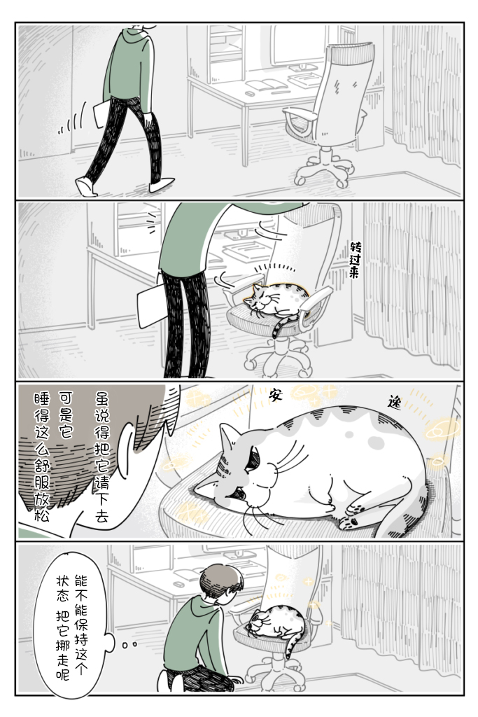 《关于养猫我一直是新手》漫画最新章节第86话免费下拉式在线观看章节第【1】张图片