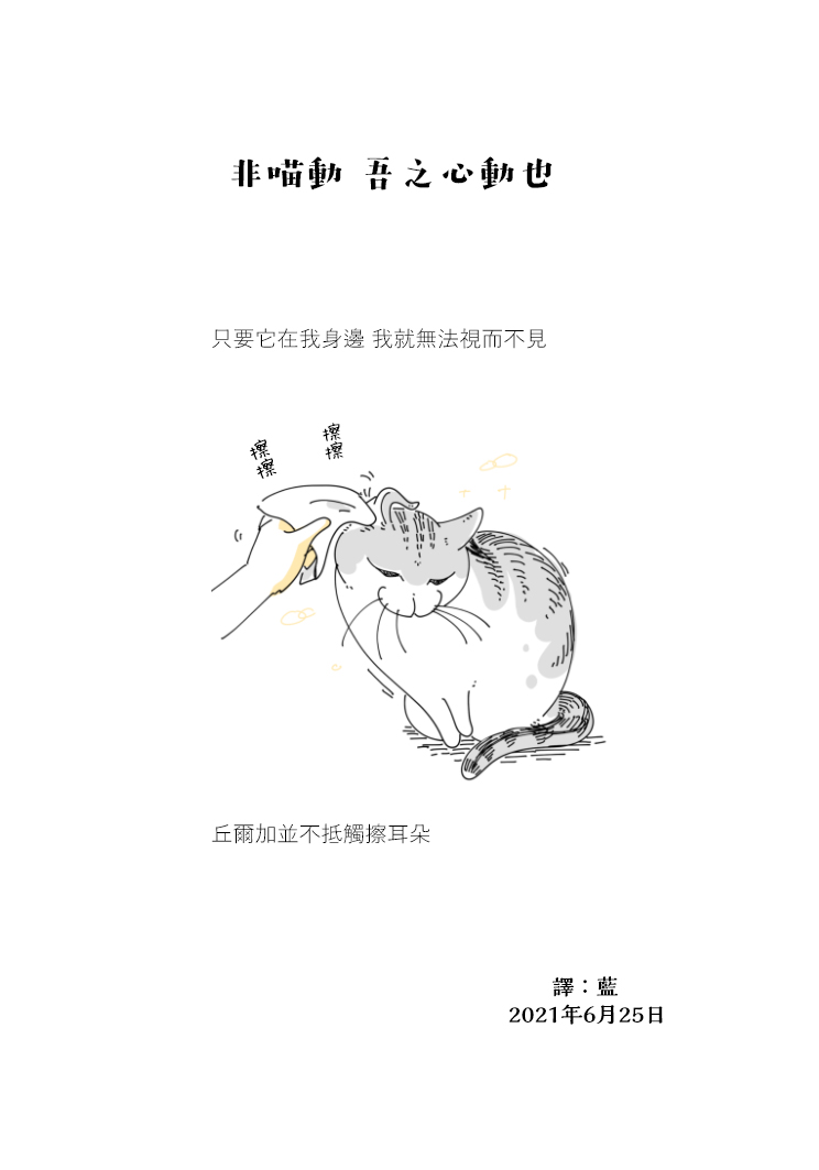 《关于养猫我一直是新手》漫画最新章节第70话免费下拉式在线观看章节第【4】张图片