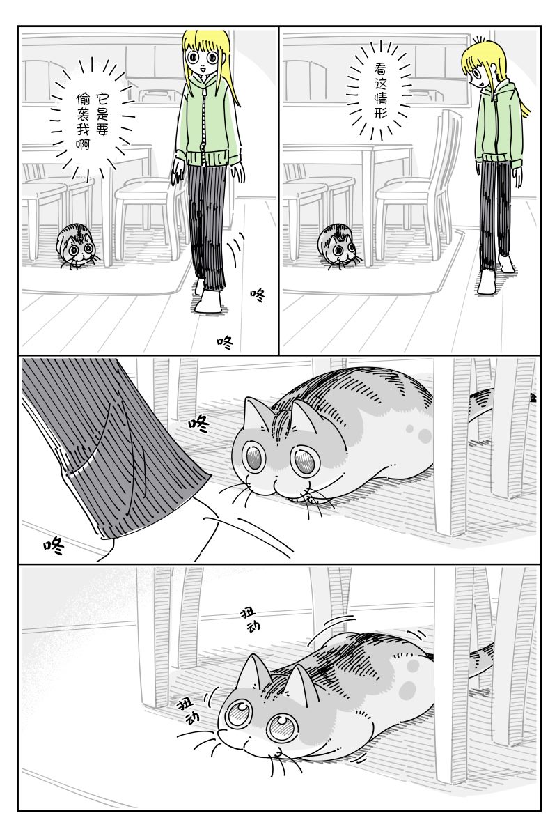 《关于养猫我一直是新手》漫画最新章节第109话免费下拉式在线观看章节第【2】张图片