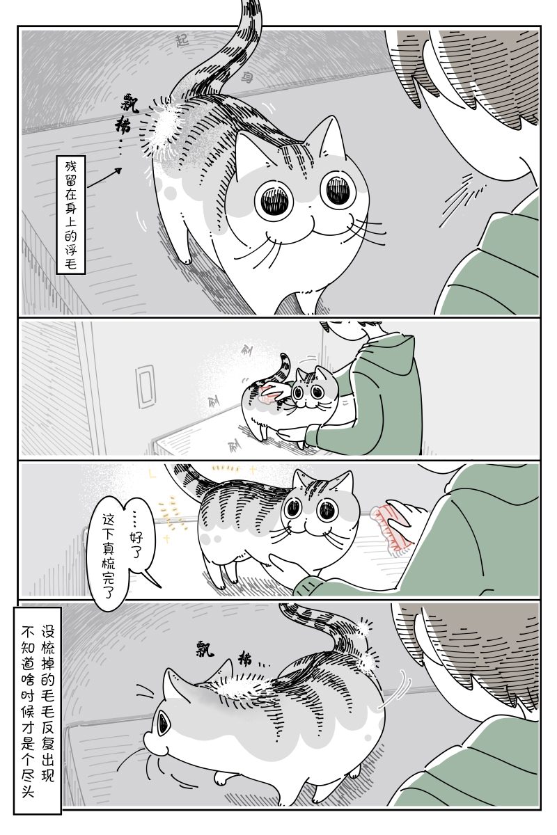 《关于养猫我一直是新手》漫画最新章节第105话免费下拉式在线观看章节第【2】张图片