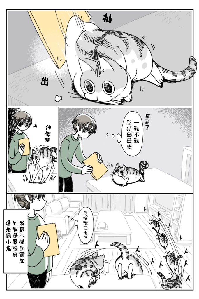 《关于养猫我一直是新手》漫画最新章节第32话免费下拉式在线观看章节第【3】张图片