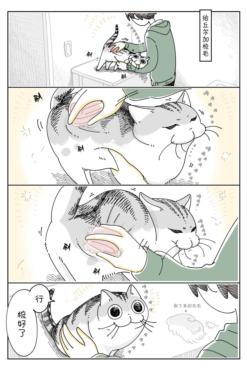 《关于养猫我一直是新手》漫画最新章节第105话免费下拉式在线观看章节第【1】张图片