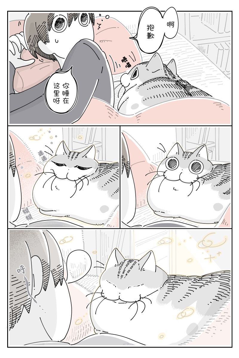 《关于养猫我一直是新手》漫画最新章节第94话免费下拉式在线观看章节第【2】张图片