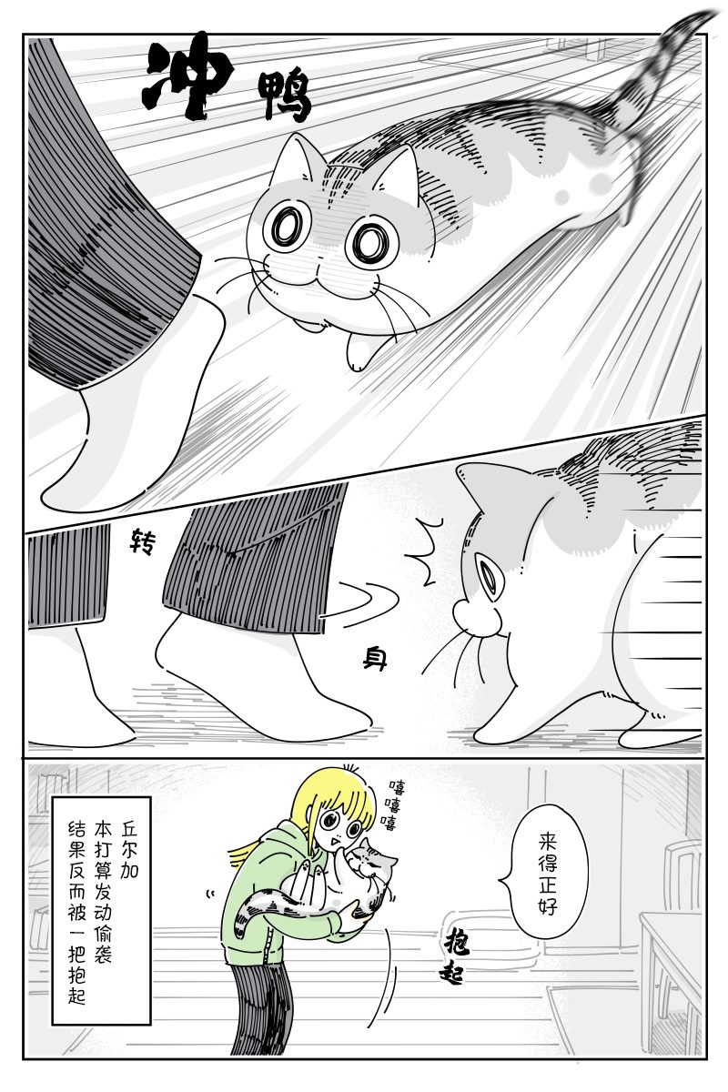 《关于养猫我一直是新手》漫画最新章节第109话免费下拉式在线观看章节第【3】张图片
