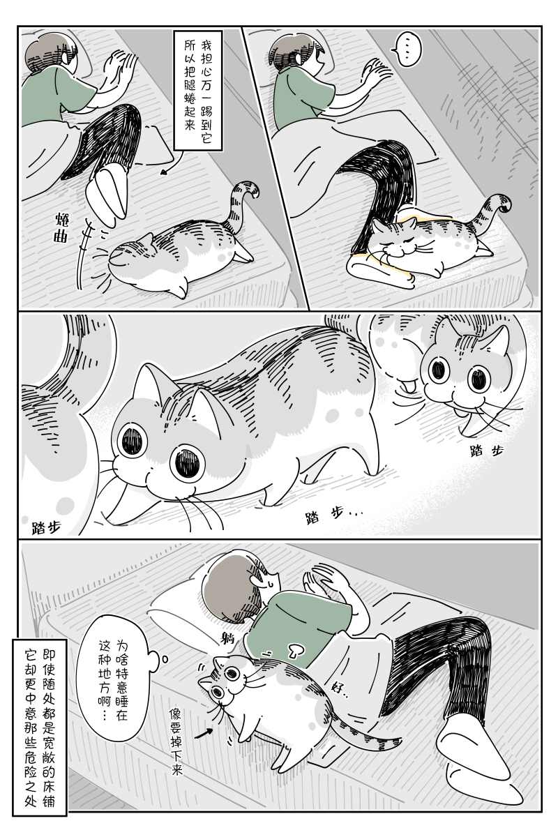 《关于养猫我一直是新手》漫画最新章节第80话免费下拉式在线观看章节第【3】张图片