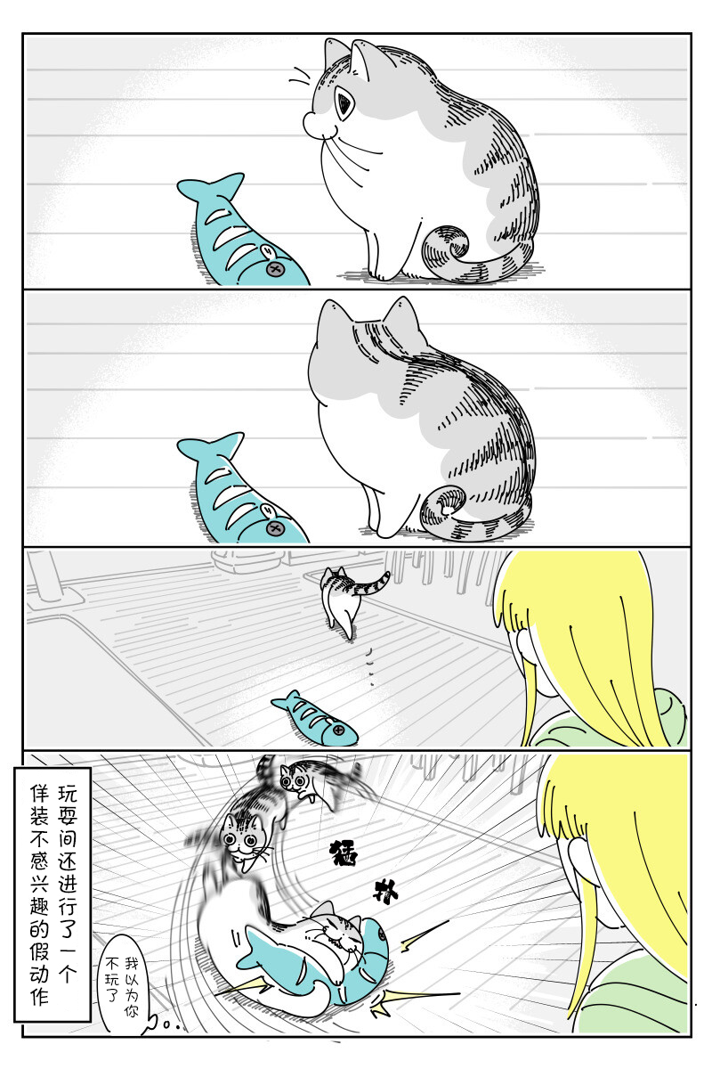 《关于养猫我一直是新手》漫画最新章节第146话免费下拉式在线观看章节第【3】张图片