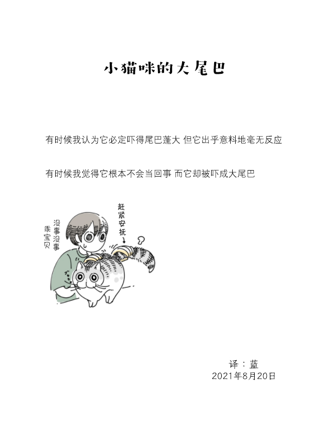 《关于养猫我一直是新手》漫画最新章节第78话免费下拉式在线观看章节第【4】张图片