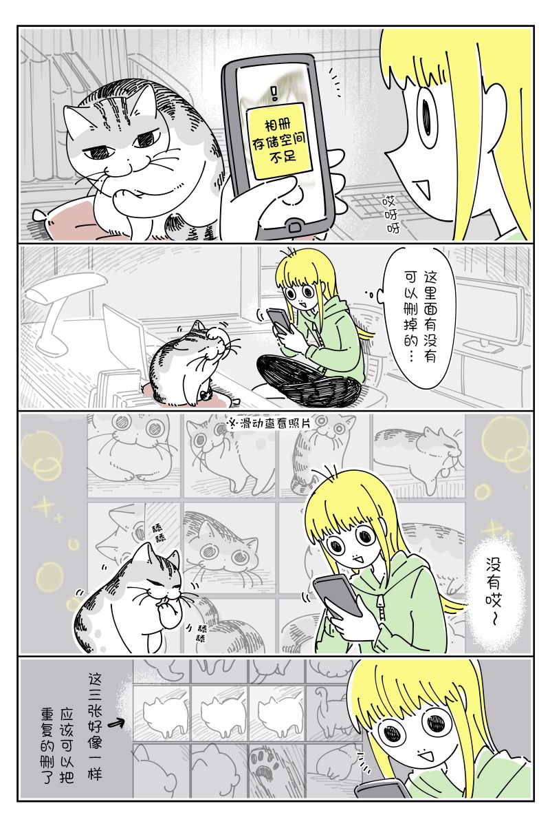 《关于养猫我一直是新手》漫画最新章节第135话免费下拉式在线观看章节第【2】张图片