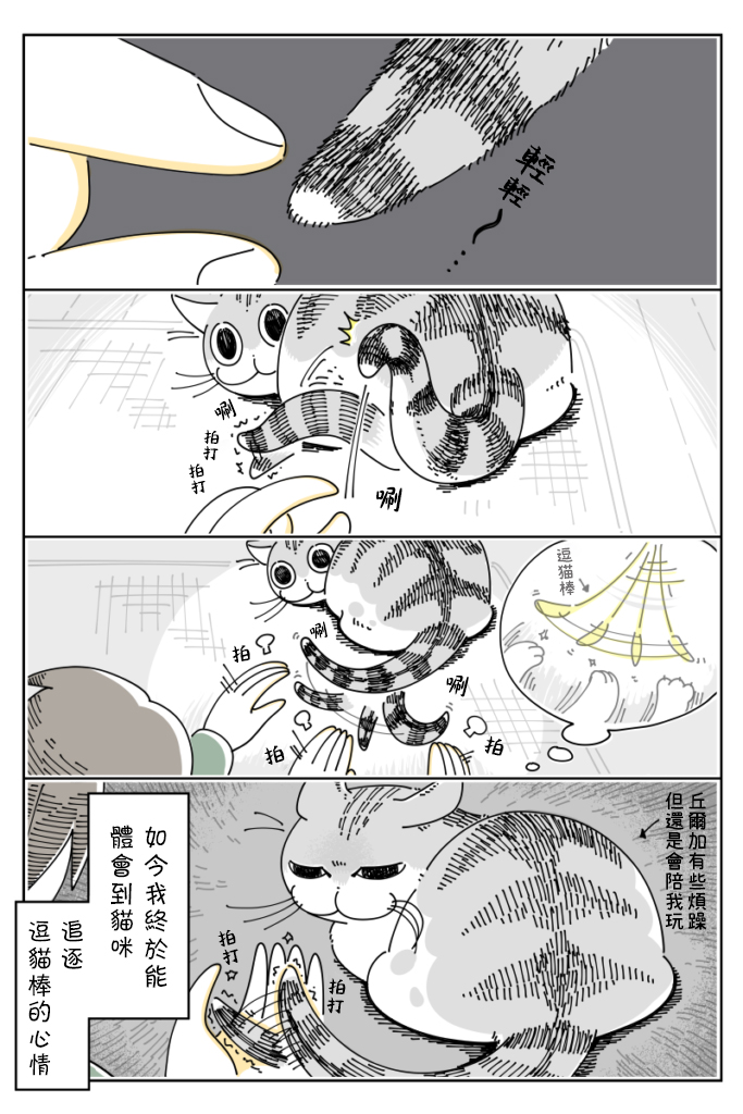 《关于养猫我一直是新手》漫画最新章节第31话免费下拉式在线观看章节第【2】张图片