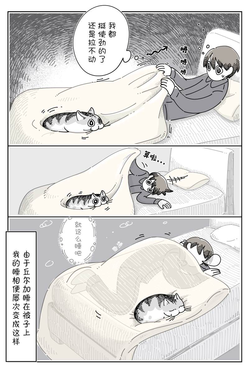 《关于养猫我一直是新手》漫画最新章节第98话免费下拉式在线观看章节第【3】张图片