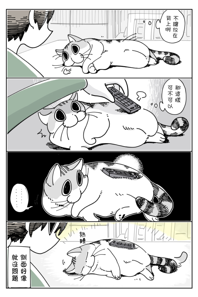《关于养猫我一直是新手》漫画最新章节第16话免费下拉式在线观看章节第【4】张图片