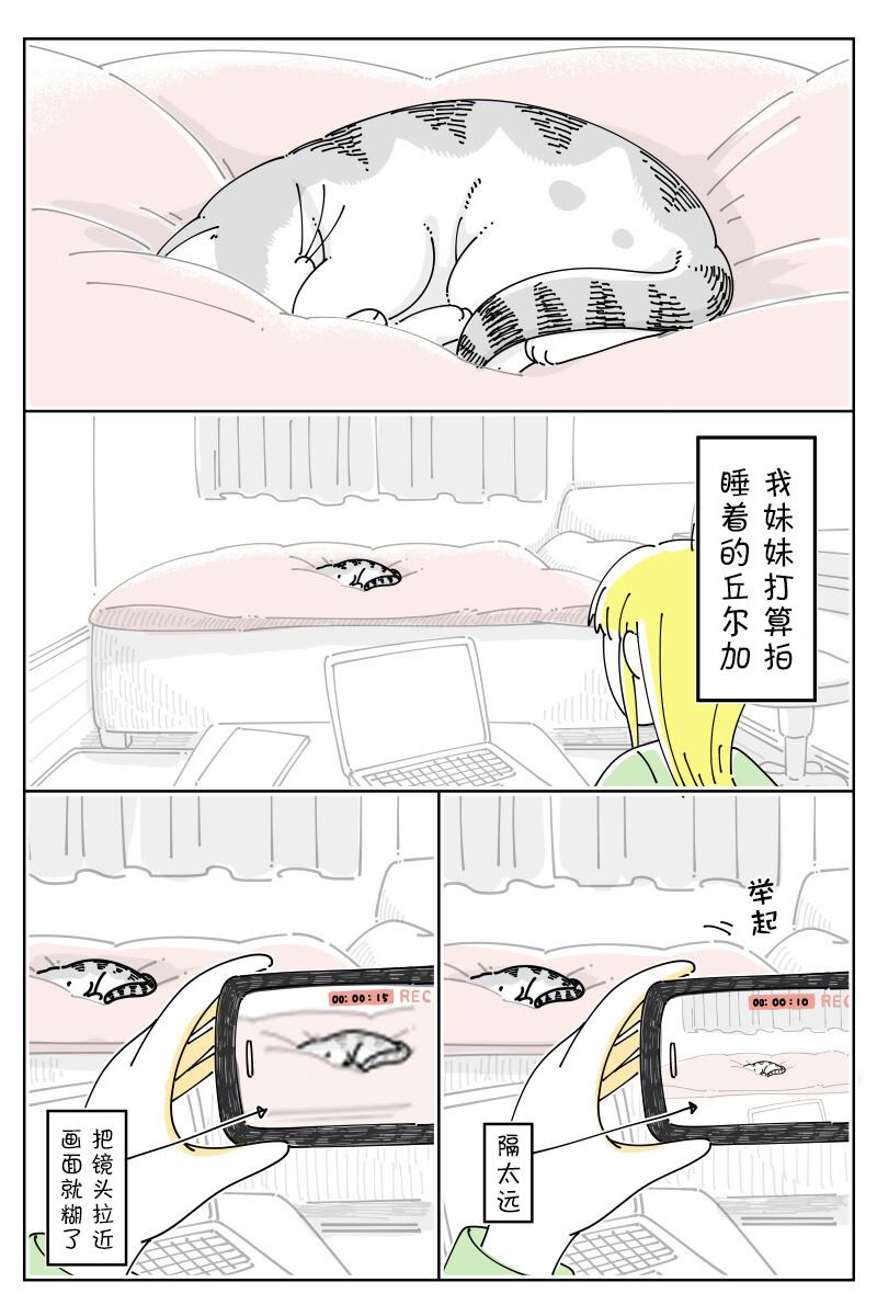 《关于养猫我一直是新手》漫画最新章节第152话免费下拉式在线观看章节第【1】张图片