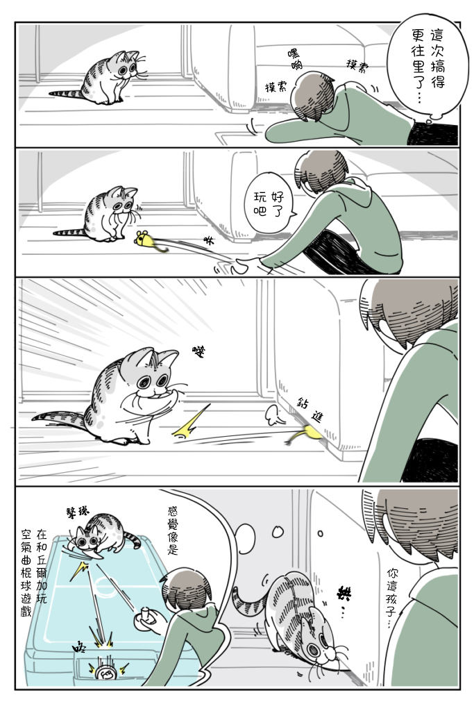 《关于养猫我一直是新手》漫画最新章节第34话免费下拉式在线观看章节第【3】张图片