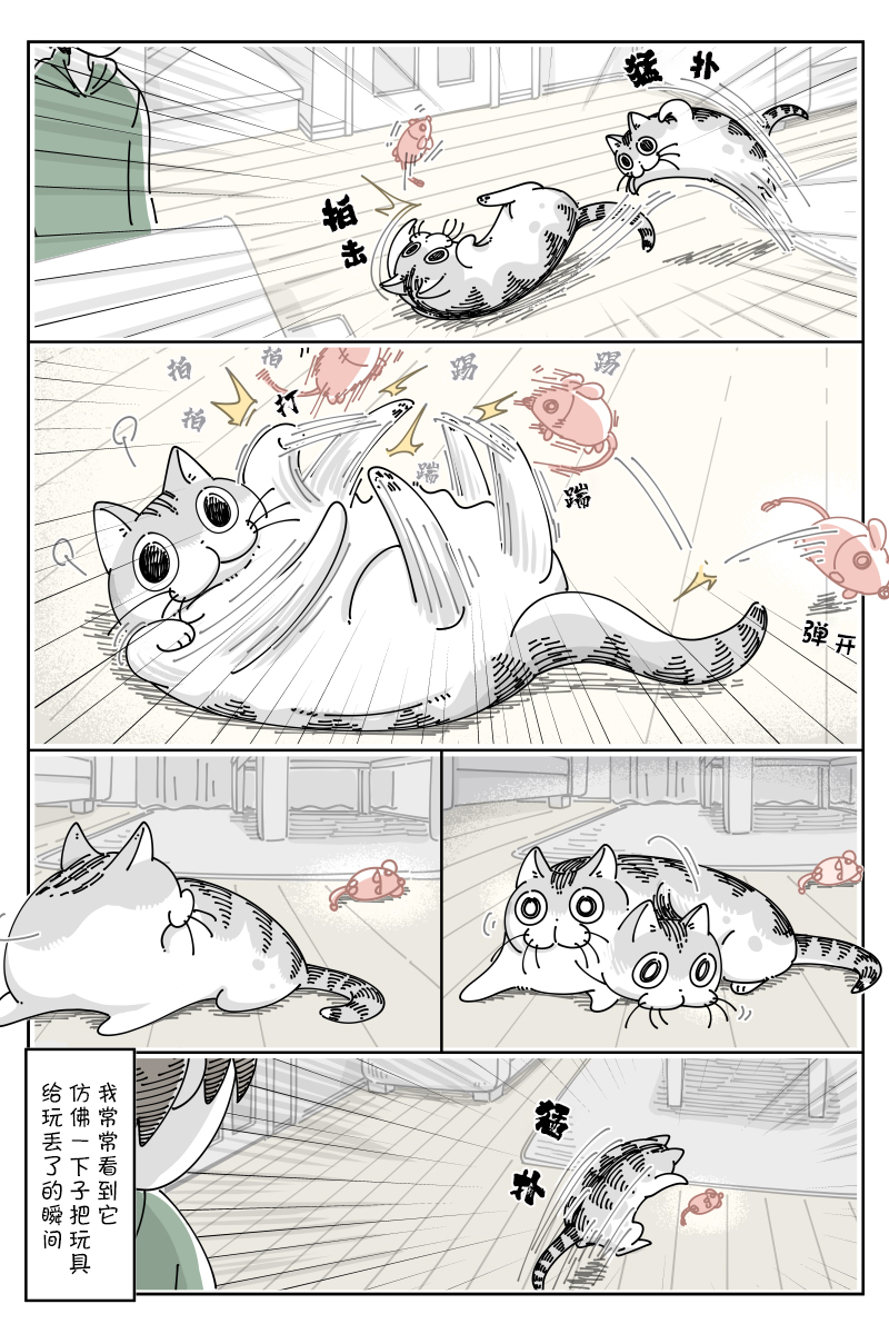 《关于养猫我一直是新手》漫画最新章节第108话免费下拉式在线观看章节第【2】张图片