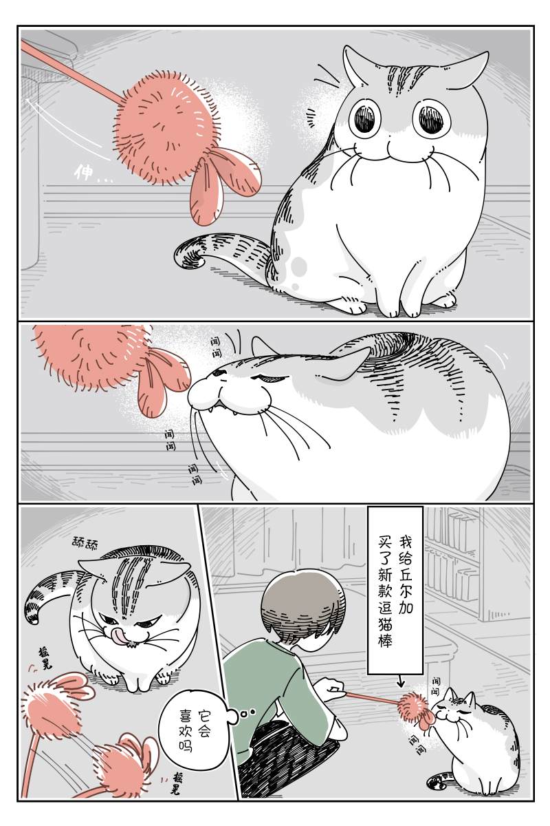 《关于养猫我一直是新手》漫画最新章节第124话免费下拉式在线观看章节第【1】张图片