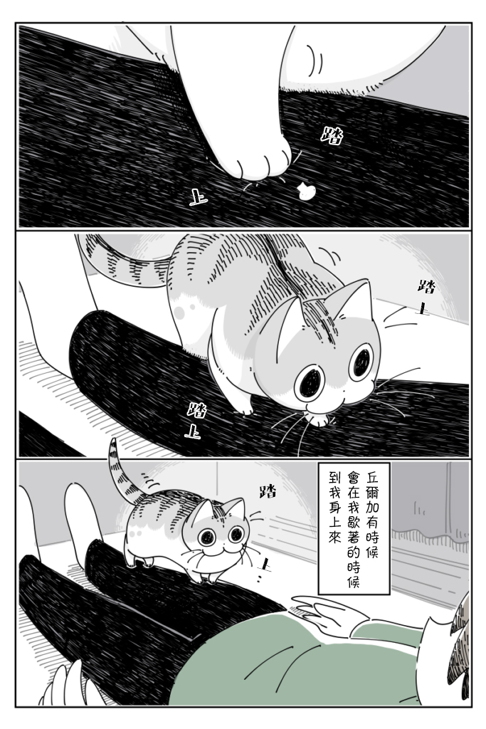 《关于养猫我一直是新手》漫画最新章节第63话免费下拉式在线观看章节第【1】张图片